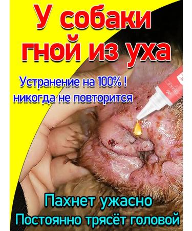 Drops for dogs purulent otitise 60 ml