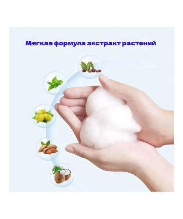 CHAMPUT for dogs and kittens with chlorhexidine - Buy Online on GoSupps.com