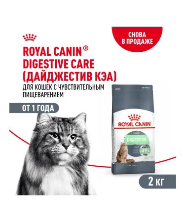 ROYAL CANIN Digestive Care dry food for cats to maintain a gastrointestinal tract 2 kg - Buy Online on GoSupps.com
