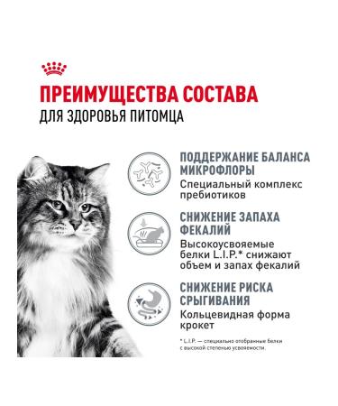 ROYAL CANIN Digestive Care dry food for cats to maintain a gastrointestinal tract 2 kg - Buy Online on GoSupps.com