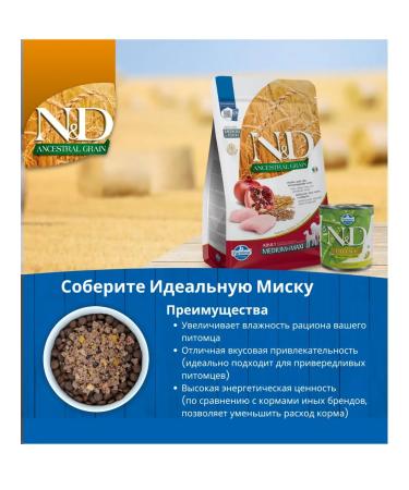 Farmina Dry food for dogs of small breeds with chicken and grenade 800g - Buy Online on GoSupps.com