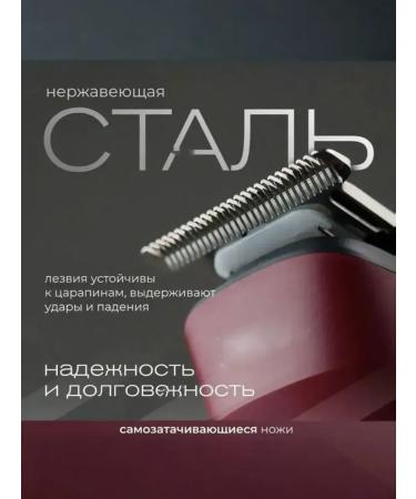 Trimmer for a beard and mustache 10 nozzles gray metallic - Buy Online on GoSupps.com