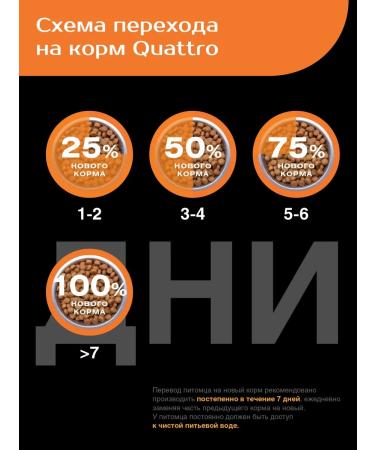 Quattro Dry food for dogs of the Alabai turkey 3 kg - Buy Online on GoSupps.com