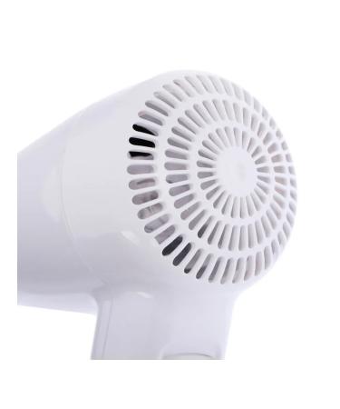 Wall hair flain with speed adjustment - Buy Online on GoSupps.com