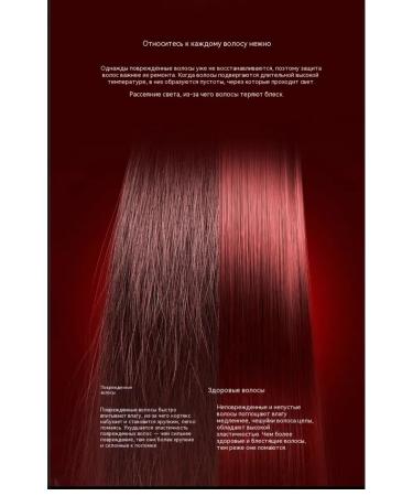 Quick hairdryer with ionic hair care function - Buy Online on GoSupps.com