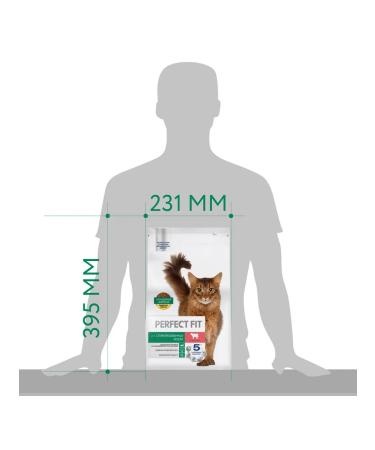 PERFECT FIT Dry food for sterilized cats beef 2.5kg - Buy Online on GoSupps.com