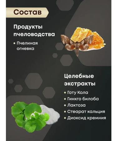 The Power of the Bee Parch Bee and Drill Homogenate for Bones and Brain - Buy Online on GoSupps.com