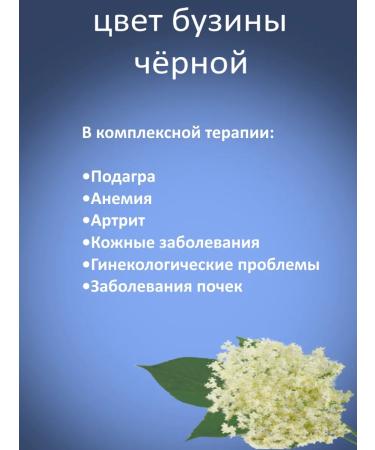 Crimean stevia Black mono -starting elderberry color - Buy Online on GoSupps.com