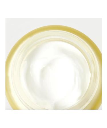 MIGUHARA Cream for improving skin tone 50 ml - Buy Online on GoSupps.com