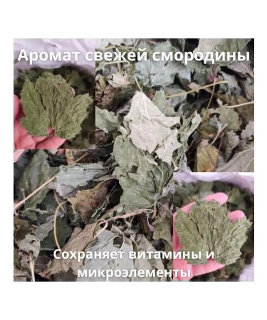 Currant (sheet) Drevable tea Drevomed 100 g - Buy Online on GoSupps.com