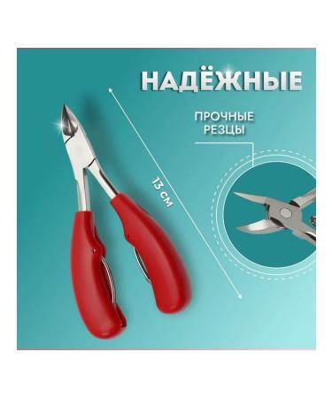 Pedicure nippers with a curved blade and spring