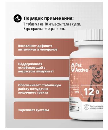 PetActive Vitamins 12 V 1 for elderly dogs 100 tablets - Buy Online on GoSupps.com