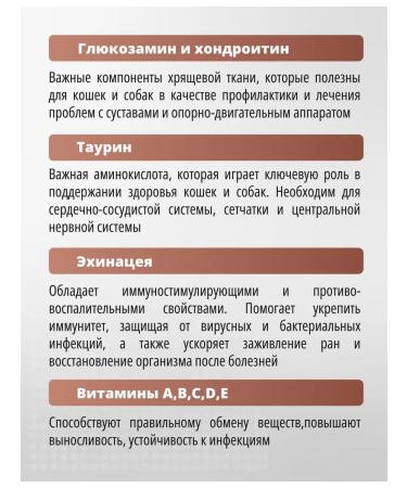 PetActive Vitamins 12 V 1 for elderly dogs 100 tablets - Buy Online on GoSupps.com