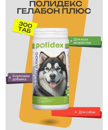 Polidex Polydex Gelabon Plus Bank 300 Tab