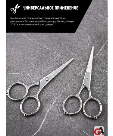 PAIE Universal straight scissors with hair teeth - Buy Online on GoSupps.com