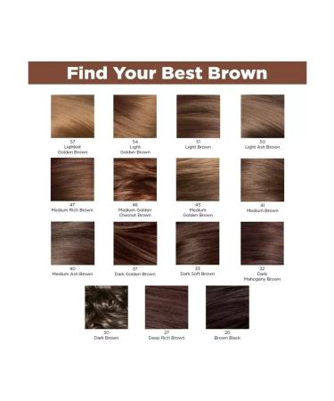 Revlon Revolon hair color Colorsilk 20 Brown Black - Buy Online on GoSupps.com