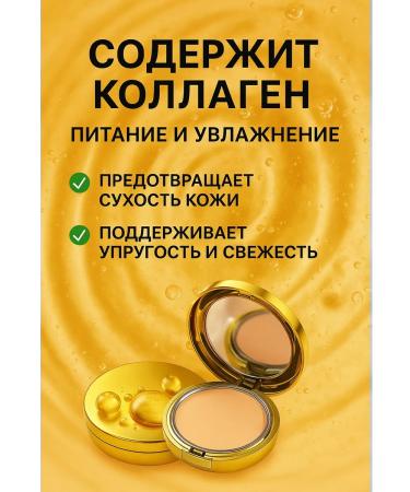 BIBA90 Face powder (tone 13) - Buy Online on GoSupps.com
