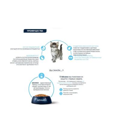 Advance Kitten dry kittens 1.5 kg - Buy Online on GoSupps.com