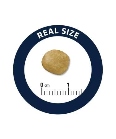 Advance Renal dry dog food for kidney pathology 12 kg - Buy Online on GoSupps.com