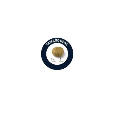 Advance Atopic dry dog food 12 kg - Buy Online on GoSupps.com