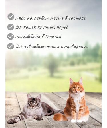 PREMIER Lamb & Turkey Adult Large Lumber meat with turkey 8 kg - Buy Online on GoSupps.com