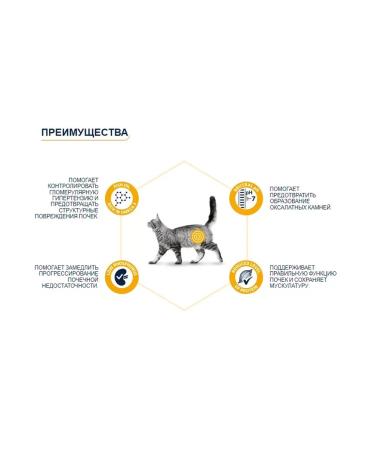 Advance Renal Wet feed for cats 85g x 12 pcs - Buy Online on GoSupps.com