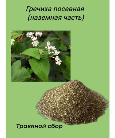 Buckwheat sowing (ground part)