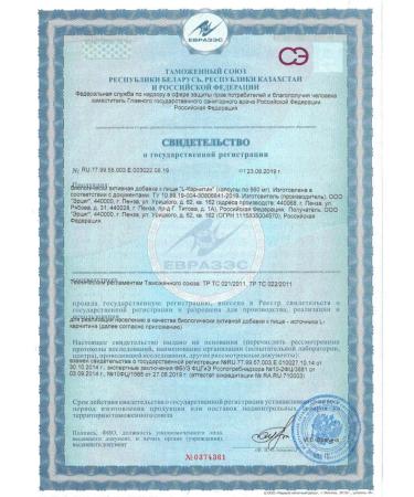 Erzig L-carnitin N20 caps 560mg - Buy Online on GoSupps.com