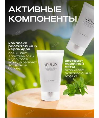 CENTELLA Korean Cosmetics Moisturizing face cream with Asian centella Skin1004 - Buy Online on GoSupps.com