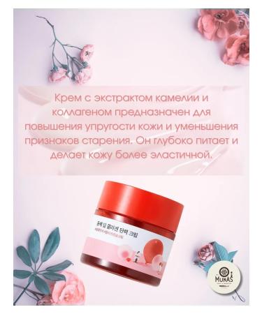round lab Camellia Deep Collagen Fixing anti -aging cream - Buy Online on GoSupps.com