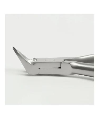Queen fair Professional pedicure pieces with a double spring - Buy Online on GoSupps.com