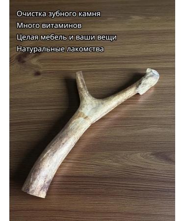 Deer horns for large rocks - Buy Online on GoSupps.com