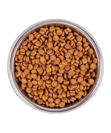 MONGE Suy adult cat food with rabbit 1.5 kg - Buy Online on GoSupps.com