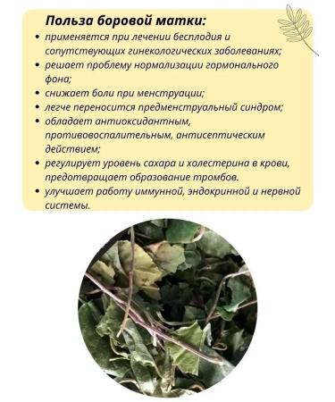 Altai Casket Boron uterus leaves 30g - Buy Online on GoSupps.com