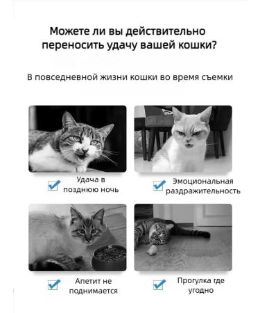 Antisex drops for cats and male 50 ml - Buy Online on GoSupps.com