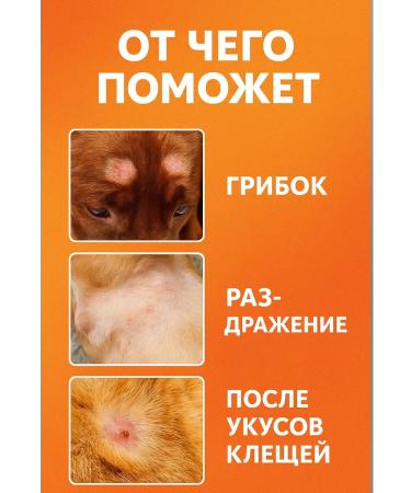 Baxtli Ointment for the treatment of skin diseases in animals 30 grams - Buy Online on GoSupps.com