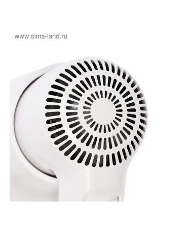 Compact wall hazella for hair styling - Buy Online on GoSupps.com