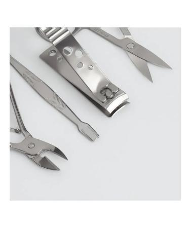 Set of manicure tools in a stylish case - Buy Online on GoSupps.com
