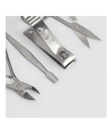 Set of manicure tools in a stylish case - Buy Online on GoSupps.com
