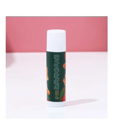 Pure happiness Lip balm with the aroma of mandarin 10 g - Buy Online on GoSupps.com