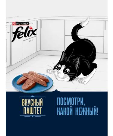 FELIX Wet food paste for cats salmon trout 75g x 26pcs - Buy Online on GoSupps.com