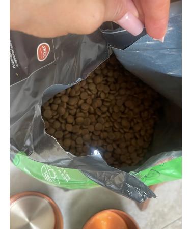 HOLISTOFF Puppy for dogs and puppies with salmon and rice 12 kg - Buy Online on GoSupps.com