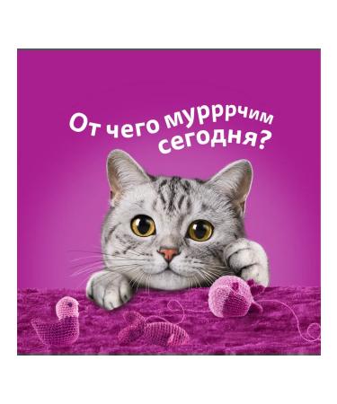 WHISKAS Wet food for adult cats of jelly with veal 28pcs x 75g - Buy Online on GoSupps.com