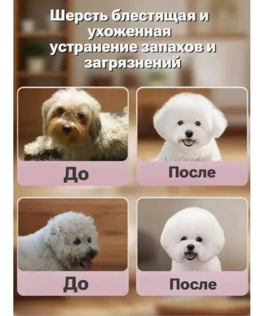 Dry shampoo for hygiene under the tail of cats without washing - Buy Online on GoSupps.com