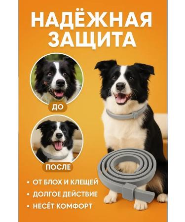 HMB70 Antiparasitic collar for dogs of large rocks 65 cm - Buy Online on GoSupps.com