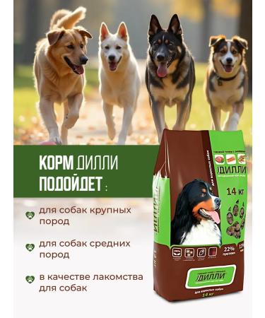 DILLY Dry food for dogs Gulyash 14 kg - Buy Online on GoSupps.com