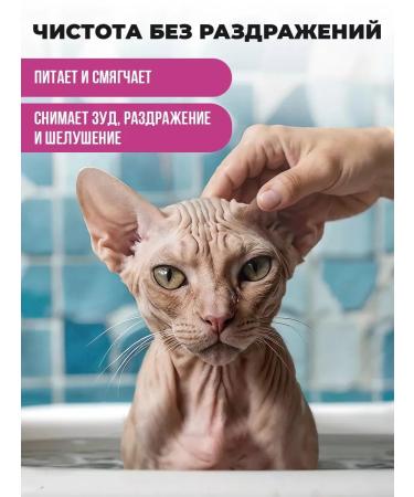 Sphinx shampoo for non -performed and short -haired cats - Buy Online on GoSupps.com