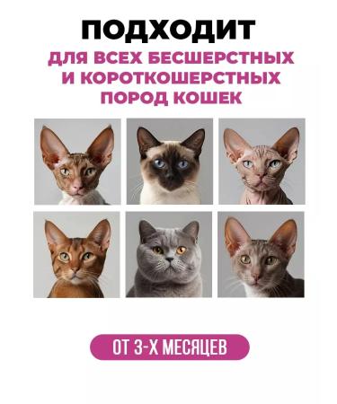 Sphinx shampoo for non -performed and short -haired cats - Buy Online on GoSupps.com