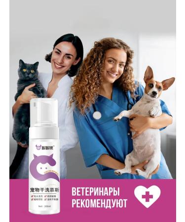 Sphinx shampoo for non -performed and short -haired cats - Buy Online on GoSupps.com