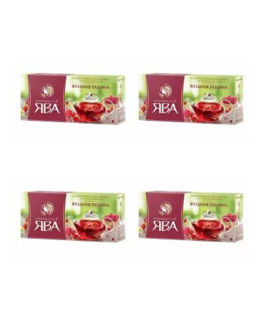 Princess of Java Tea drink Berry glade 4 UD 25 pak